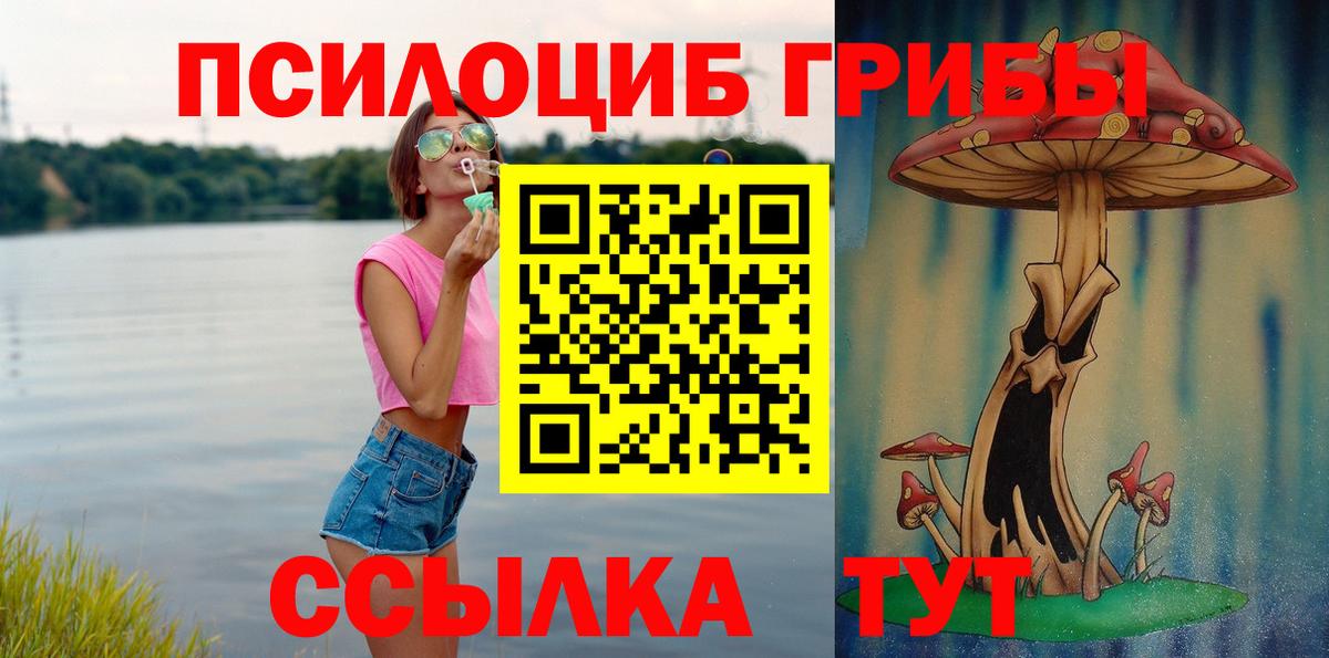 Чебоксары  наркота  Псилоцибиновые грибы ЛСД  Вход с VPN  Галлюциногенные грибы Magic Shrooms 